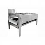 5t/H Adjustable Speed Fruit Vegetable Processing Equipment Washer for sale