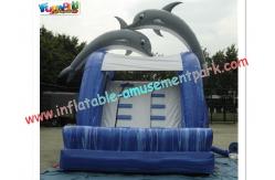 China Dolphin Outdoor Inflatable Water Slides, Swimming Pool Slide With UL Blower supplier