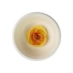 850ml Soup Compostable Bagasse Bowls Tableware Disposable Plant Fibre for sale