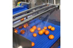 China Automatic Fruit And Vegetable Processing Line Selection Washing Drying supplier