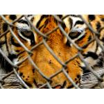 OHSAS 18001 rust resistant wildlife Chain Wire Fencing for sale
