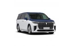 China 0 Carbon Version VOYAH Dreamer MPV supplier