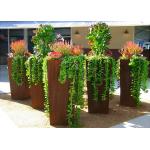 Modern Style Large Corten Steel Planter Boxes For Outdoor Decoration 80cm Height for sale