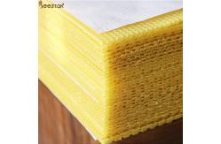 China 5.4mm Pure Natural Beeswax Honeycomb D Beeswax Foundation Sheet supplier