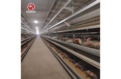 China H Shaped Small Stacked Layer Chicken Cage Can Be Customized supplier