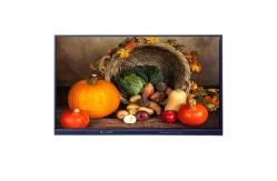 China Multi Touch Points Interactive Touch Screen Monitor All In One supplier