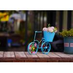 Customized Metal Bicycle Shape Garden Pot Home Decoration Multiple