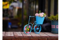 China Customized Metal Bicycle Shape Garden Pot Home Decoration Multiple supplier
