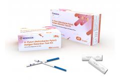 China 100% High Sensitivity 15min Colloidal Gold H Pylori Rapid Test Kit supplier