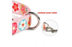 China Fashionable Nylon Buckle Dog Collar S M L Breakaway Cat Collars Customized supplier