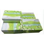 Beautiful Pattern Flip Top Gift Box Custom Rigid Cardstock Elegant Design for sale