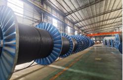 China Concentric Cable manufacturer