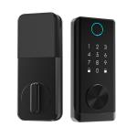 Biometric Fingerprint Door Lock Capacitive Sensor Smart Keyless BLE APP Lock for sale