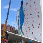 Outdoor Plywood Board Rock Climbing Wall Project Wall Panels And Climbing Holds for sale
