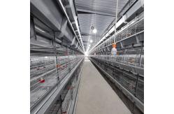 China Ventilational Automatic Layer Cage System , 4 Tier 120 Birds Chicken Battery Cages supplier