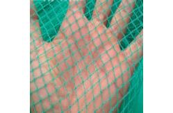 China Ageing Resistance Anti Bird Netting For Vegetable Plants And Fruit Trees supplier