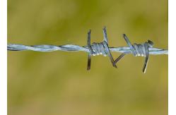 China Use Of Prison Walls Double Twisted PVC Coated /Galvanized Barbed Wire Coils supplier