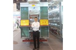 China 10cm Egg Processing Equipment , Siemens Motor 1.5kw Egg Laying Chicken Cages supplier