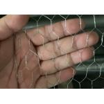 Galvanized Chicken Coop Hexagonal Wire Mesh Free Sample Garden Protection for sale
