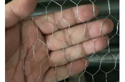 China Galvanized Chicken Coop Hexagonal Wire Mesh Free Sample Garden Protection supplier