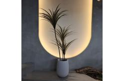 China Artificial Yucca Tree Faux Plant Insect Resistant Waterproof 160CM supplier