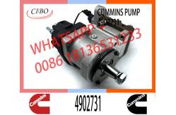 China Neutral Fuel Diesel Injection Pump 2872930 3977327 4902731 For Cummins ISLE Engine supplier