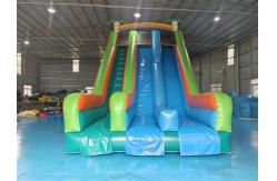 China Silk Printing Commercial Inflatable Dry Slide Outdoor Jumping Bouncer Slide supplier