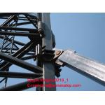 Yuanxin self raising QTD125 jib crane sale for Russia