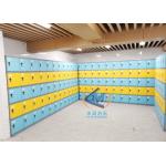 Durable ABS Storage Locker Customized Logo Intelligent For Water Park
