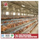 Layer Poultry Equipment A Frame Layer Cages SGS Approved for sale