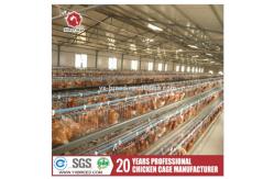 China Layer Poultry Equipment A Frame Layer Cages SGS Approved supplier