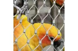 China Animal Enclosure Mesh Of 60/90 Degree Animal Containment Netting supplier