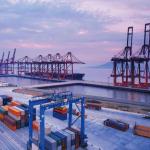 FCL / LCL Container Shipping Service CMA COSCO OOCL EMC WHL YML With Optional Door To Door Delivery for sale