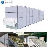 Dryer Rapeseed Carrot Drying Machine Onion Belt Dryer Herb Root for sale
