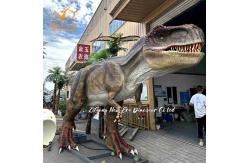 China Realistic Lifelike Simulated T-rex Dinosaur for Museum and Child Amusement Park supplier