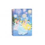 Notebook Printing Princess Hard Cover grating printing spiral bound book printing service for sale