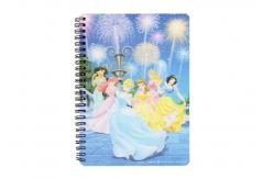 China Notebook Printing Princess Hard Cover grating printing spiral bound book printing service supplier