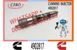 China QSK60 QSK45 Engine Fuel Injector 4954374 4326784 4326781 for Cummins supplier