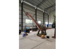 China Dinosaur Park 3D Authentic Animatronic Dino Customization supplier