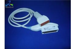 China 40mm Linear Array Transducer GE 10Lb RS for Musculoskeletal Scanning supplier