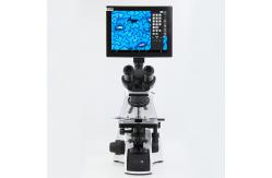China 1000X 5.0M Resolution 9.7 Portable Lcd Digital Microscope supplier