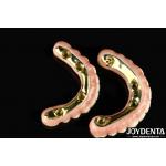 Natural-looking Aesthetics Zirconia Hybrid Bridge With High Durability And Biocompatibility Ti-Bar Zirconia Hybrid Bridge for sale