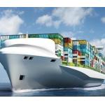 DHL UPS TNT FBA Amazon Freight Forwarder Sea Shipping From China To USA Canada for sale