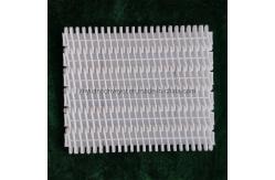 China                  Plastic Conveyor Belts with 27.2mm Pitch for Cartons Processing Industry              supplier