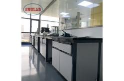 China Customizable Chemistry Lab Workbench Laboratory Workstation High Safety Environment supplier