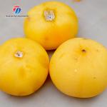 220V  Automatic persimmon peeler Persimmon peeler peels apples, potatoes and pears