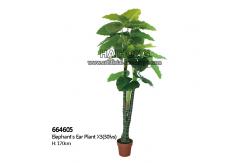 China All Season 170cm Artificial Potted Floor Plants With Real Touch Leaves supplier