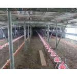 Broiler Chicken Shed Automatic Pan Feeding System for sale