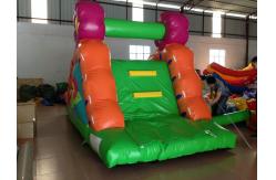 China Small Size Inflatable Caterpillar Dry Slide With Digital Printing Eco - Friendly supplier