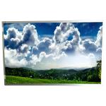 M220ZGE-L20 LCD Screen 1680*1050 LCD Display TFT Panel 22.0 for sale